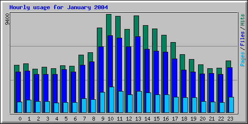 Hourly usage for January 2004